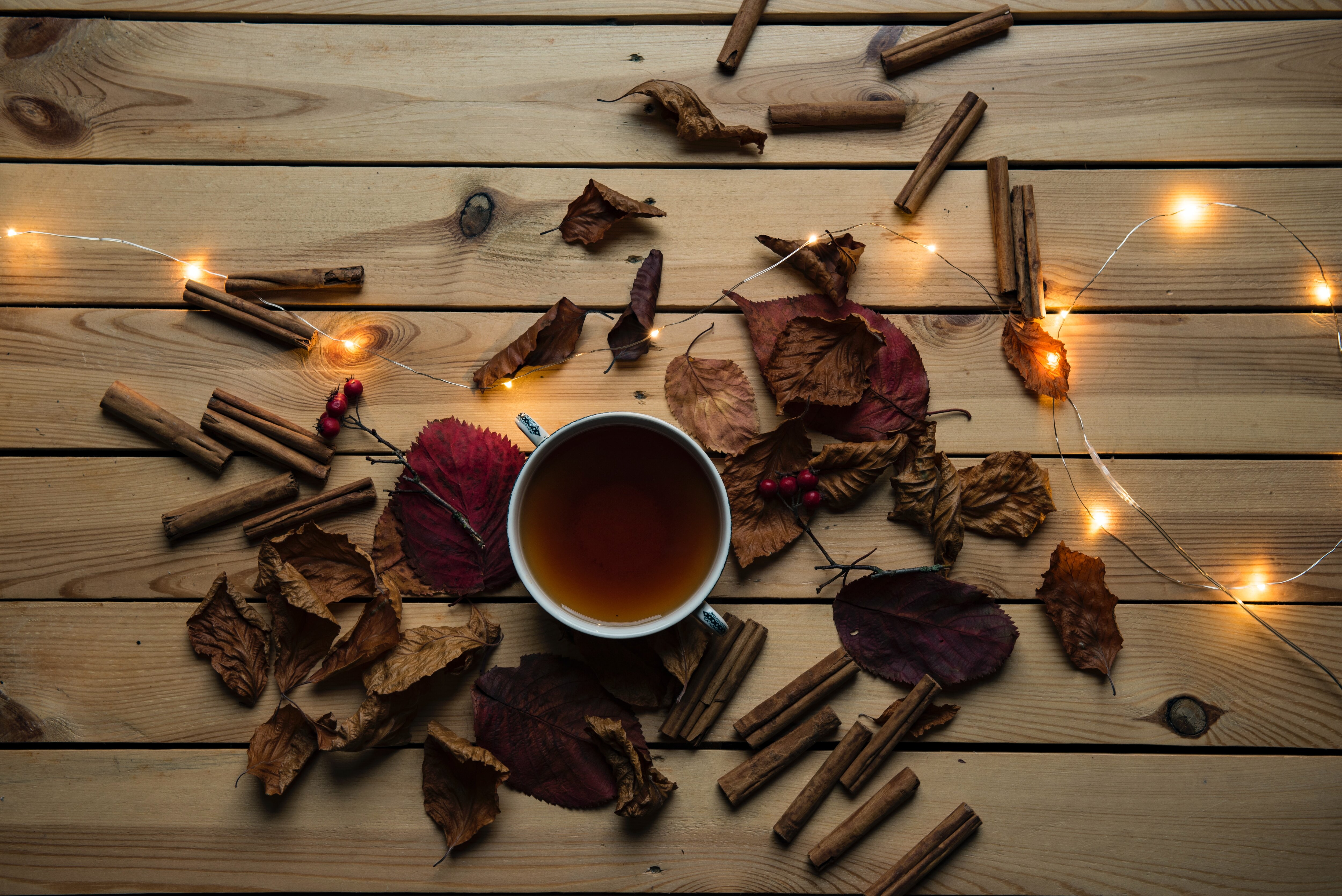 https://www.24.se/pub_docs/files/joanna-kosinska-mr_Tg4SI66A-unsplash.jpg