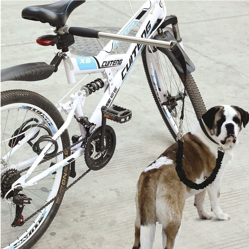 Cykelfäste med koppel för hund