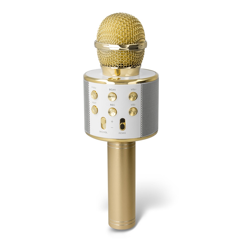 Forever Karaokemikrofon med högtalare - Guld