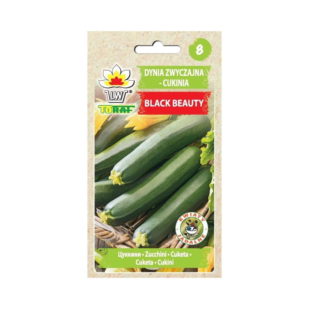 Zucchini Black Beauty