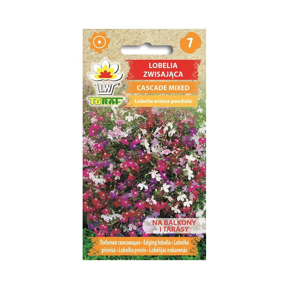 Hänglobelia Cascade Mix