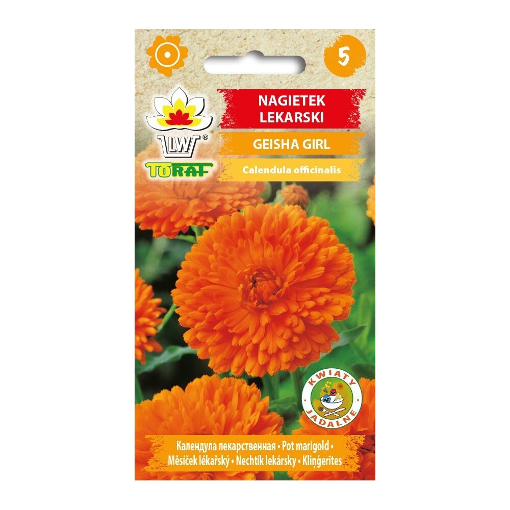 Ringblomma Geisha Girl