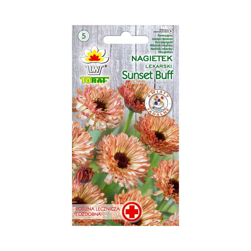 Ringblomma Sunset Buff