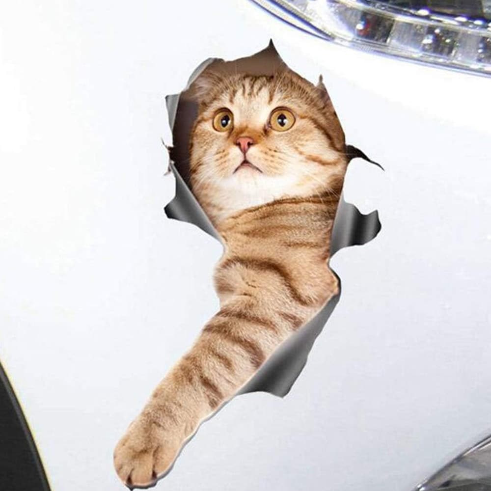 Bildekal - Katt som sträcker ut tassen