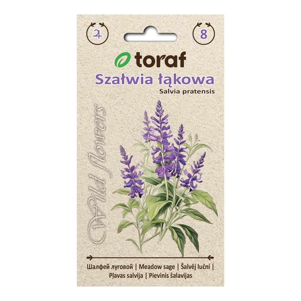 Frö till ängssalvia – Långblommande och bivänlig perenn