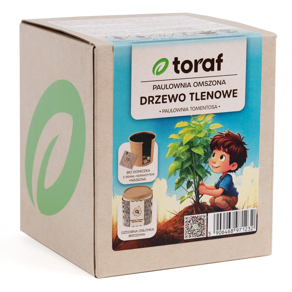 Set med frö till kejsarträd och odlingskruka – Luftrenande snabbväxande träd