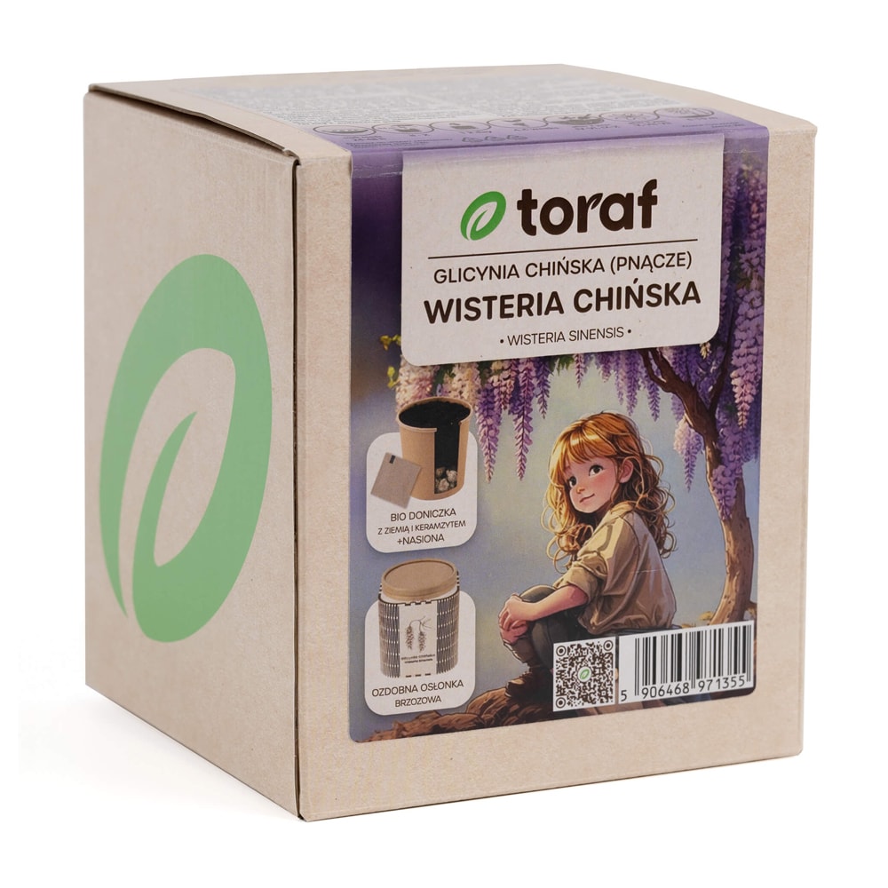 Set med frö till blåregn och odlingskruka – Praktfullt blommande klätterväxt