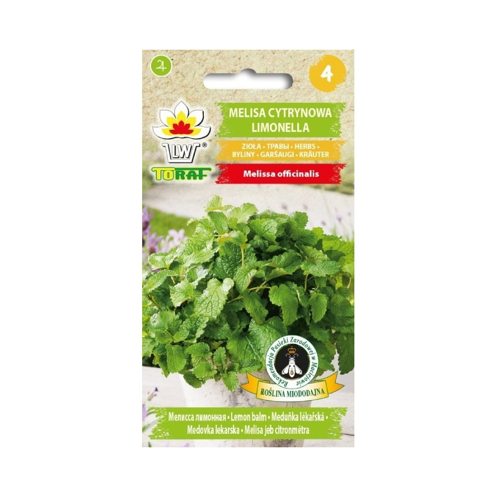 Frö till citronmeliss – flerårig ört med kraftig citrondoft