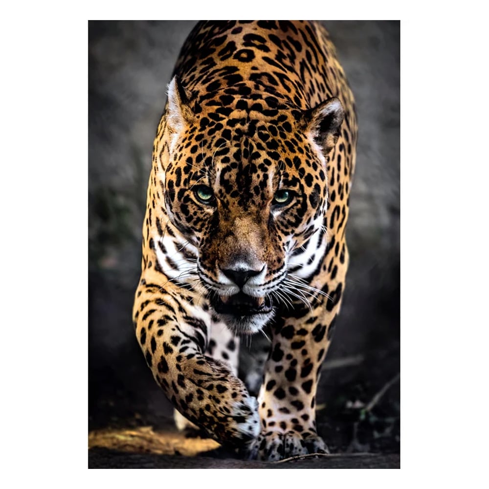 Pussel 1000 bitar Walk of the Jaguar