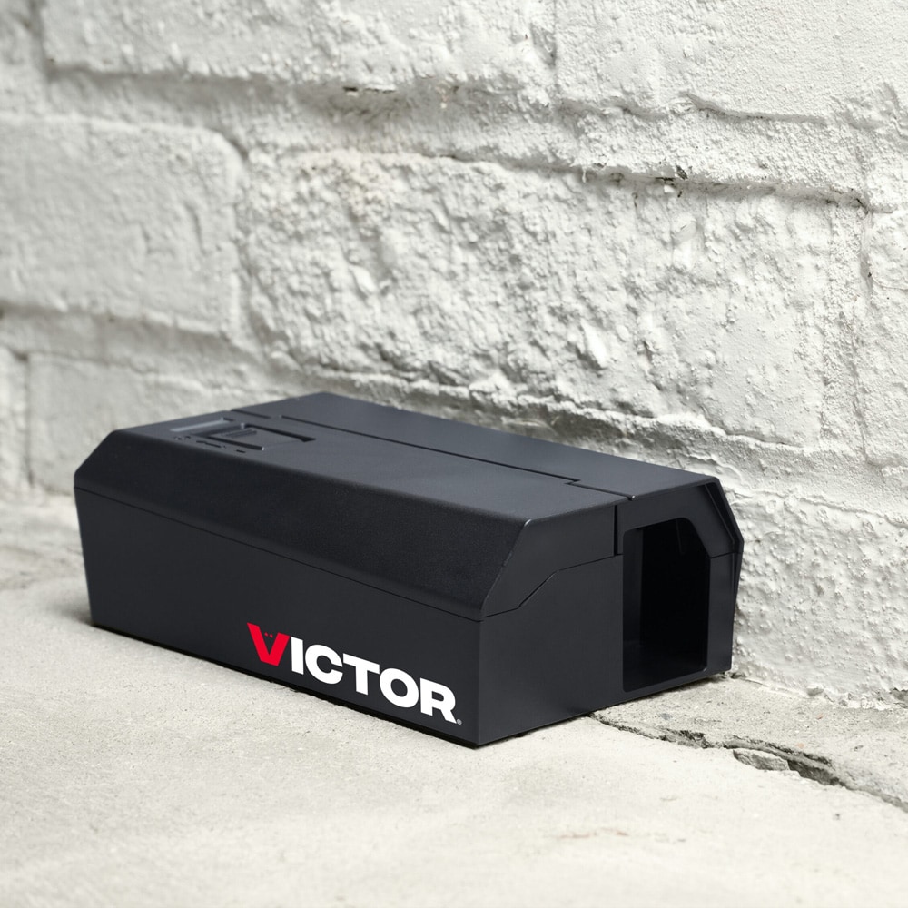 Elektrisk musfälla V2 med snabbverkande stötmekanism