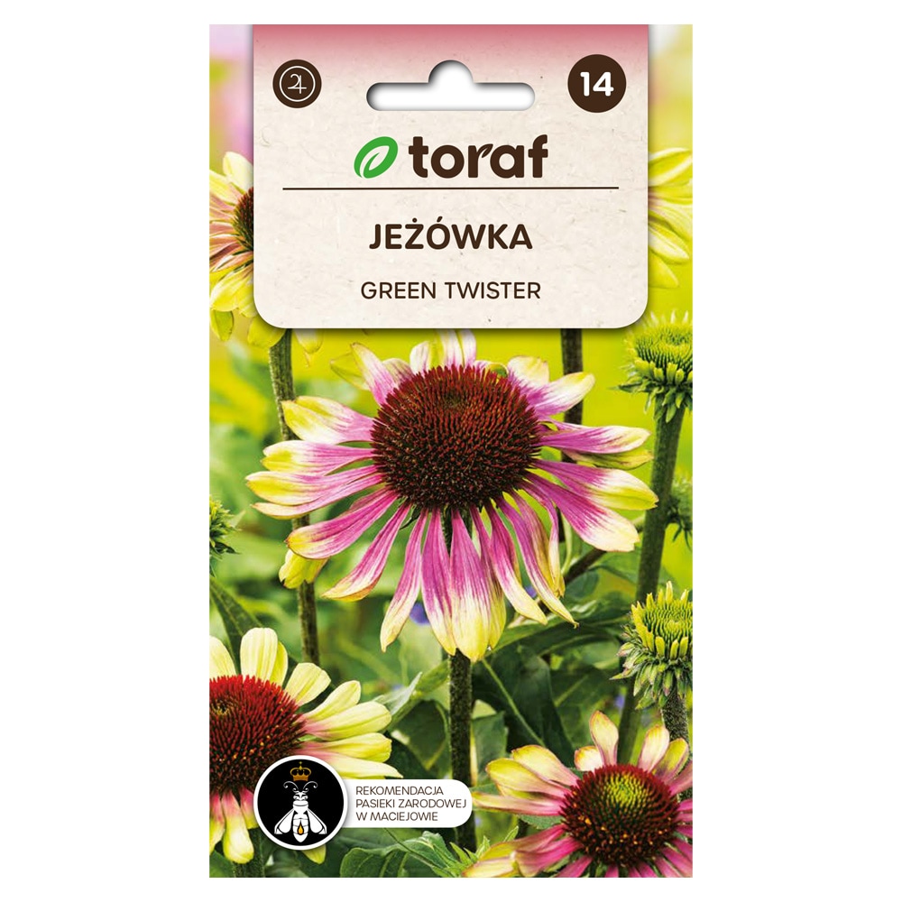Röd solhatt Green Twister frö / Echinacea purpurea Green Twister / solhatt perenn