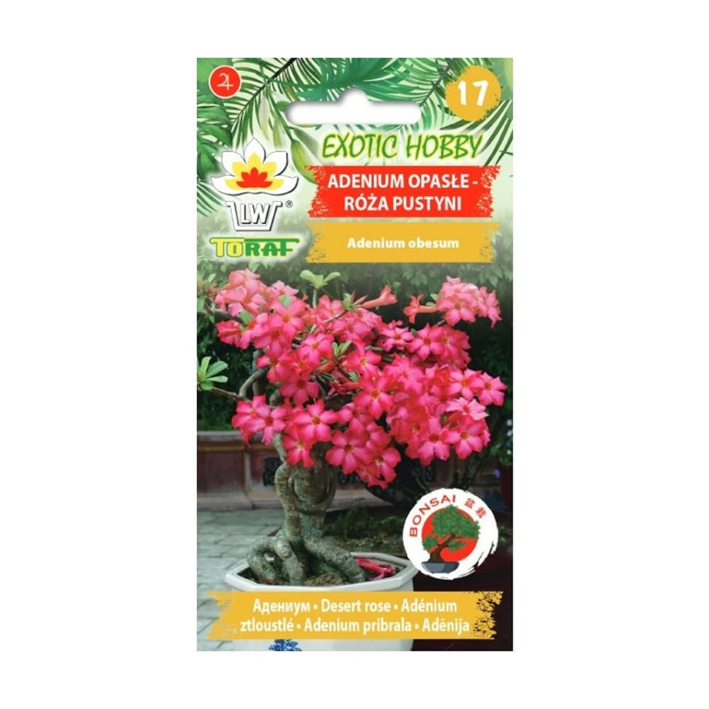 Ökenros Adenium obesum frö / desert rose frön / adenium bonsai-liknande suckulent