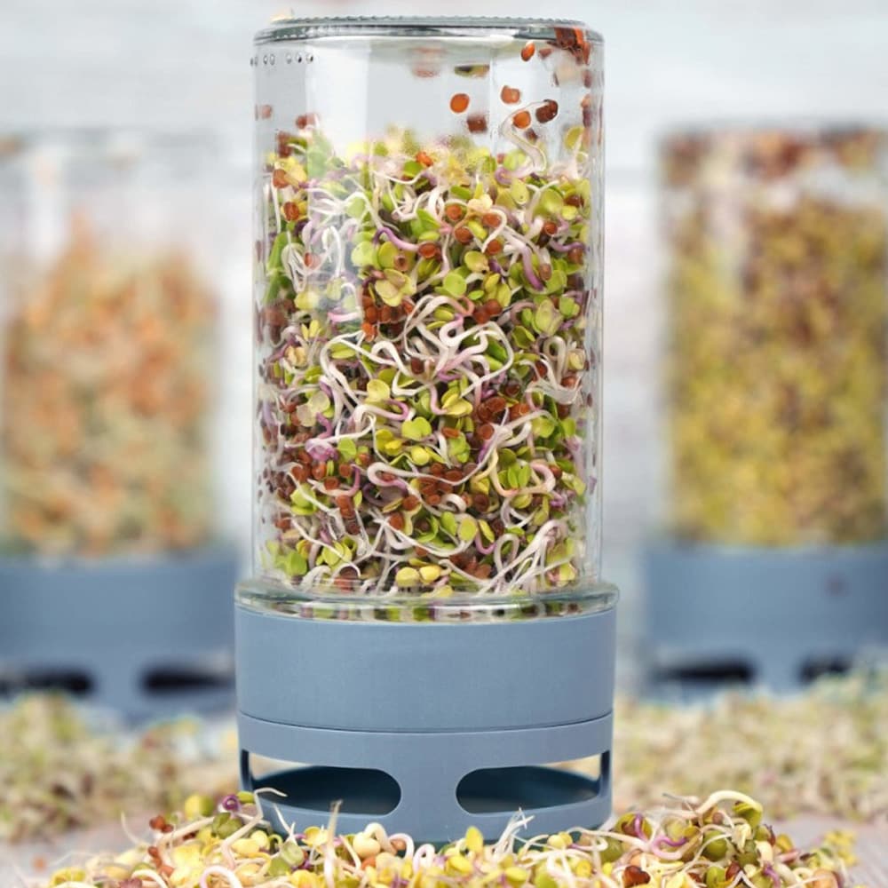 Groddburk för groddar 177 x 83 mm / groddbox med sil / groddodling hemma