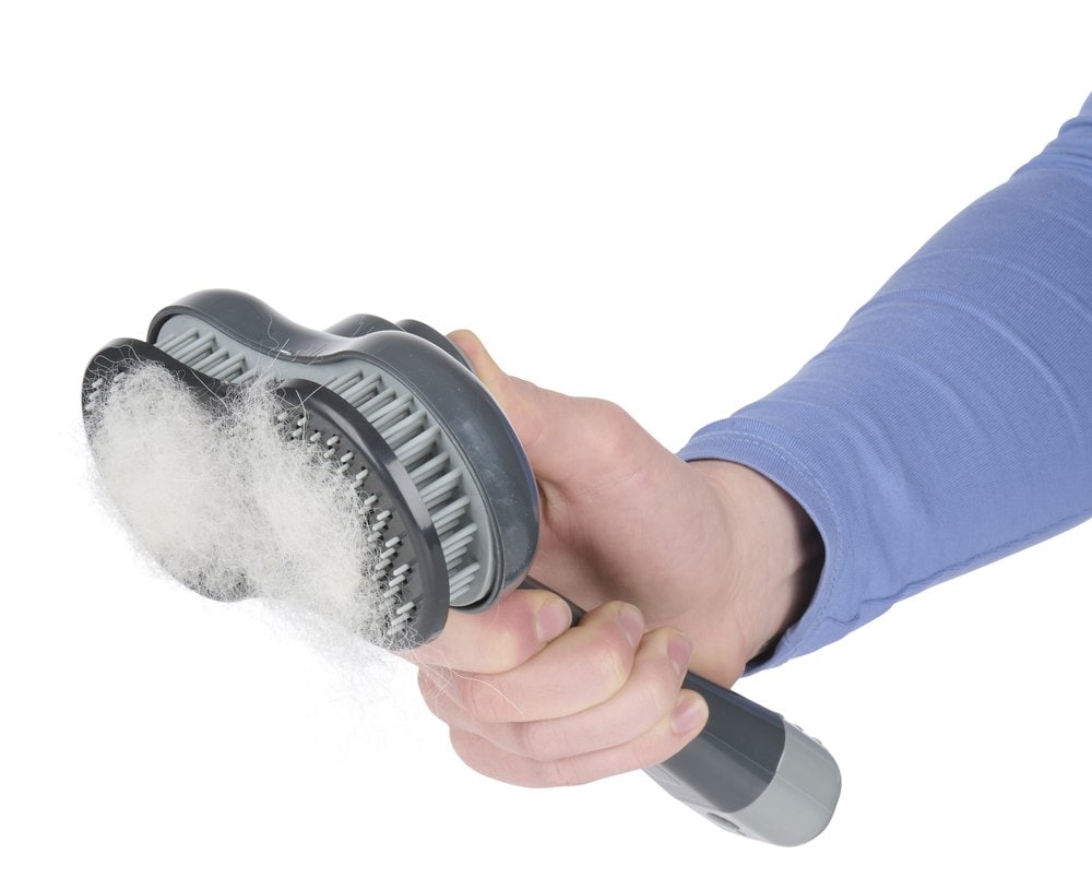 Husdjursborste med hårborttagare / hundborste för pälsvård / pälsborste för hund och katt