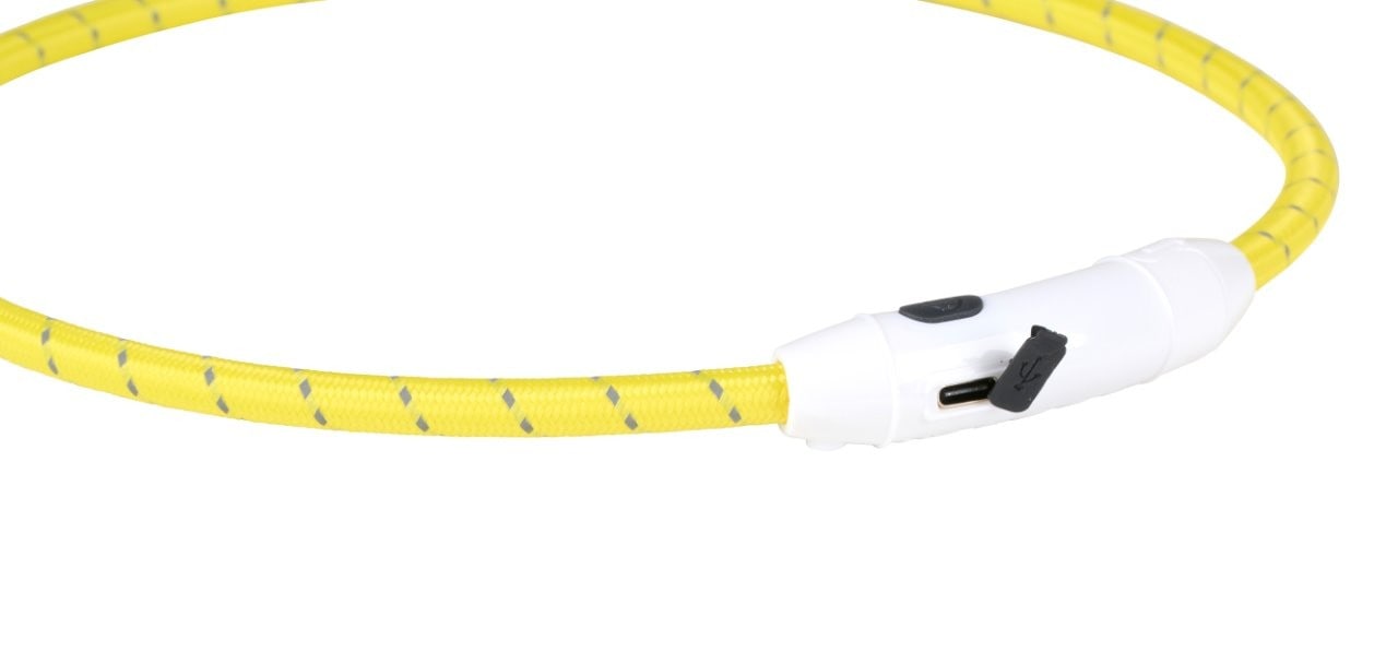 LED-koirapanta 50 cm / valaiseva koirapanta koirille / koirapanta iltakävelyille