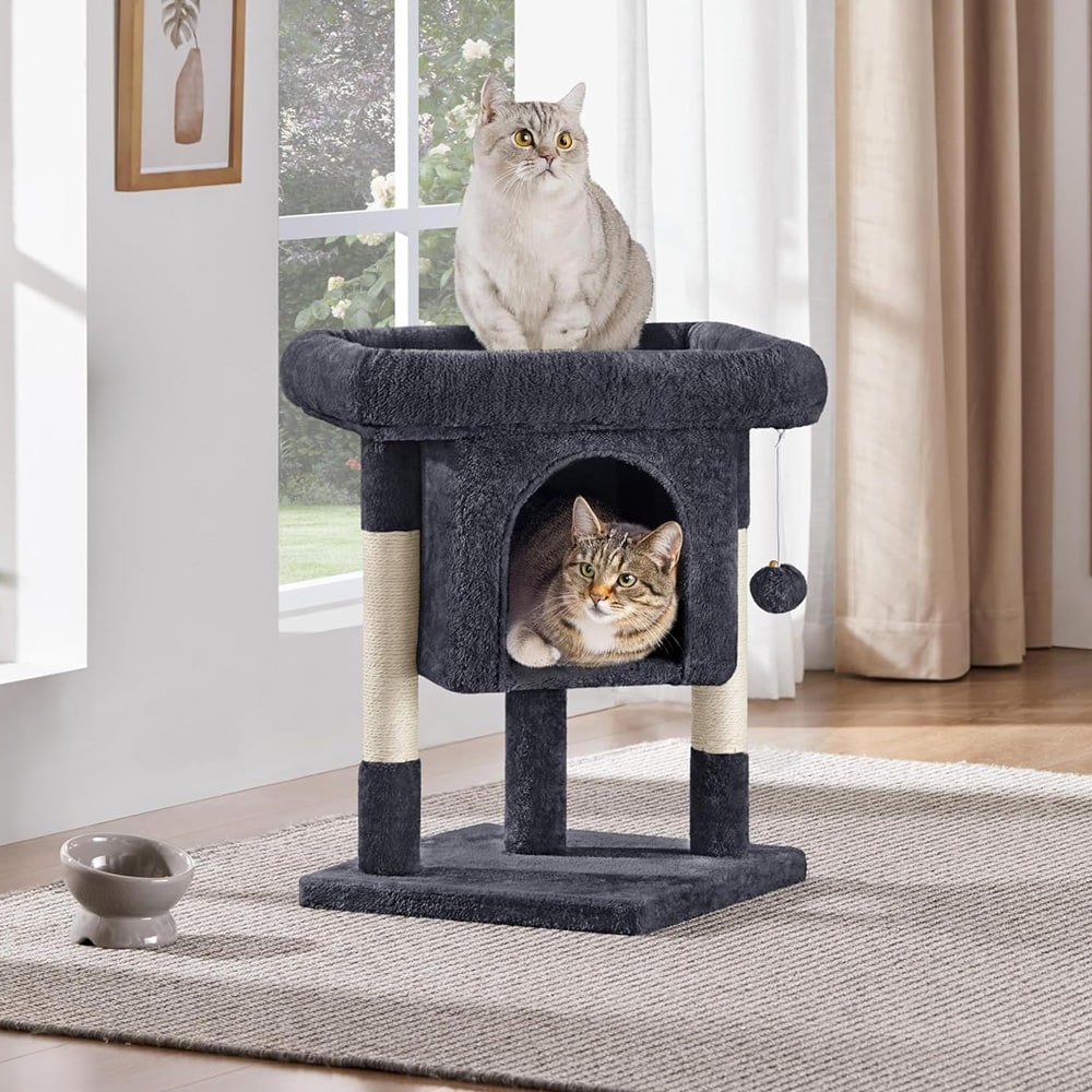 Litet klösträd med koja och säng - Svart / kompakt klösträd med kattgrotta och plattform