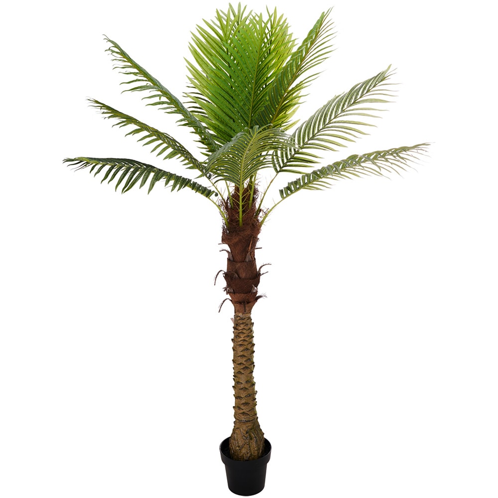 Konstgjord arecapalm 150cm med kruka - Grön/Svart / Konstgjord palm / Dekorativ palmväxt