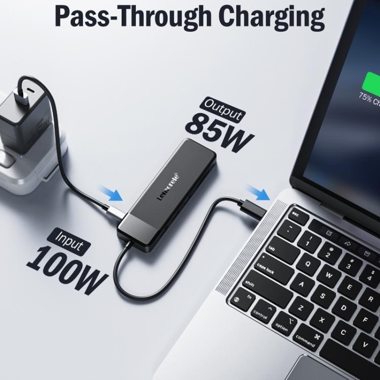 Lemorele Dockningsstation TC94 10-i-1 med dubbel HDMI, VGA och 100W PD / USB-C-docka / AV-hubb