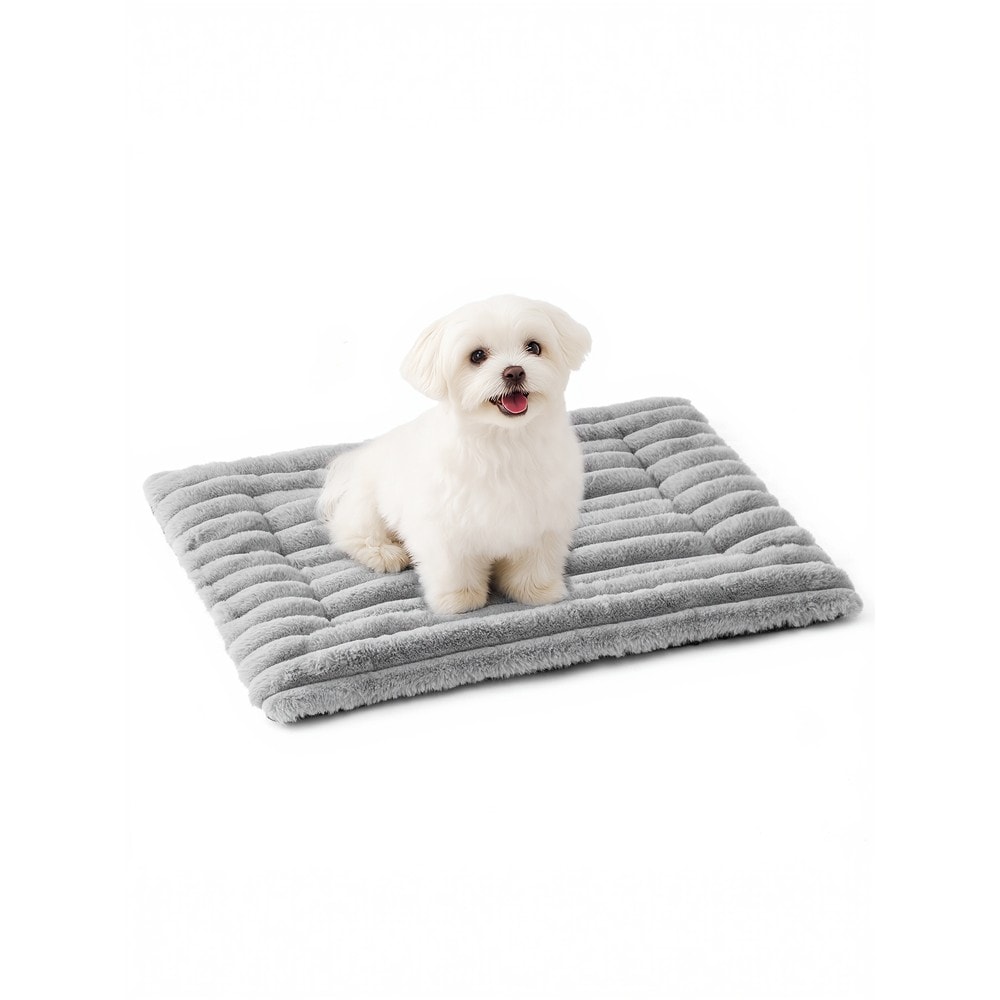Självvärmande hundfilt i plysch 60x45 cm - Grå