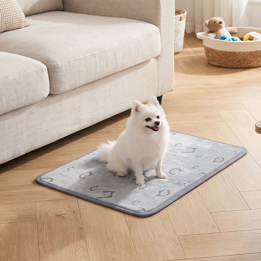 Tvättbara underlägg för husdjur 61x46 cm 2-pack - Grå