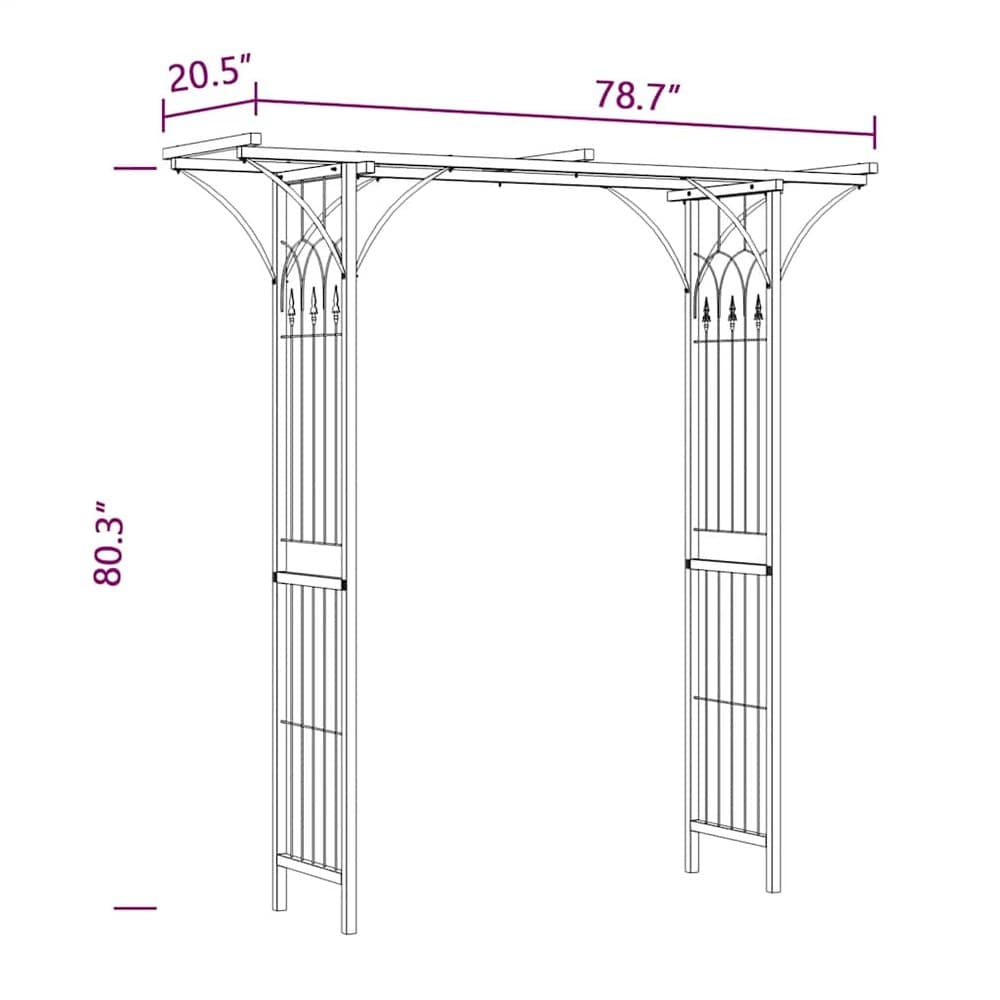 Rosenbåge 200×52×204 cm / trädgårdsbåge / spaljébåge för rosor och klätterväxter – Svart