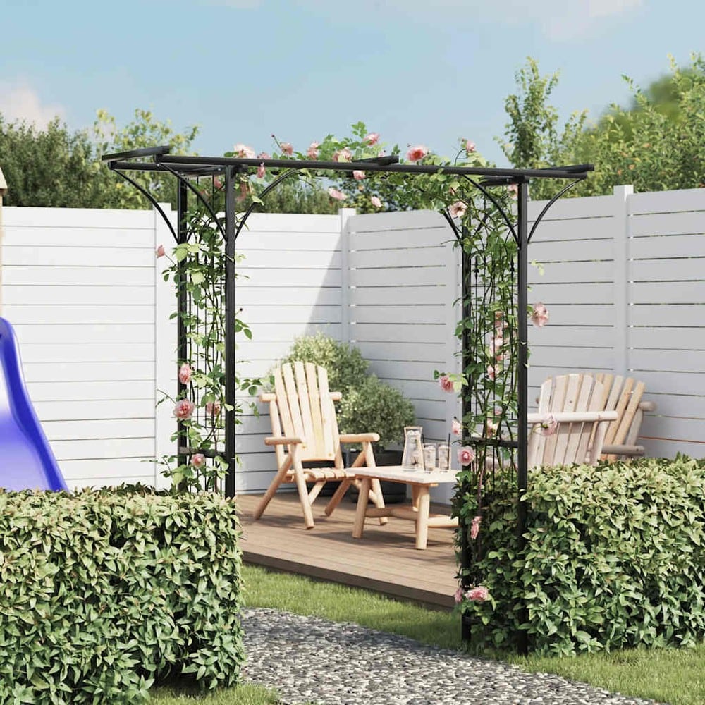 Rosenbåge 200×52×204 cm / trädgårdsbåge / spaljébåge för rosor och klätterväxter – Svart