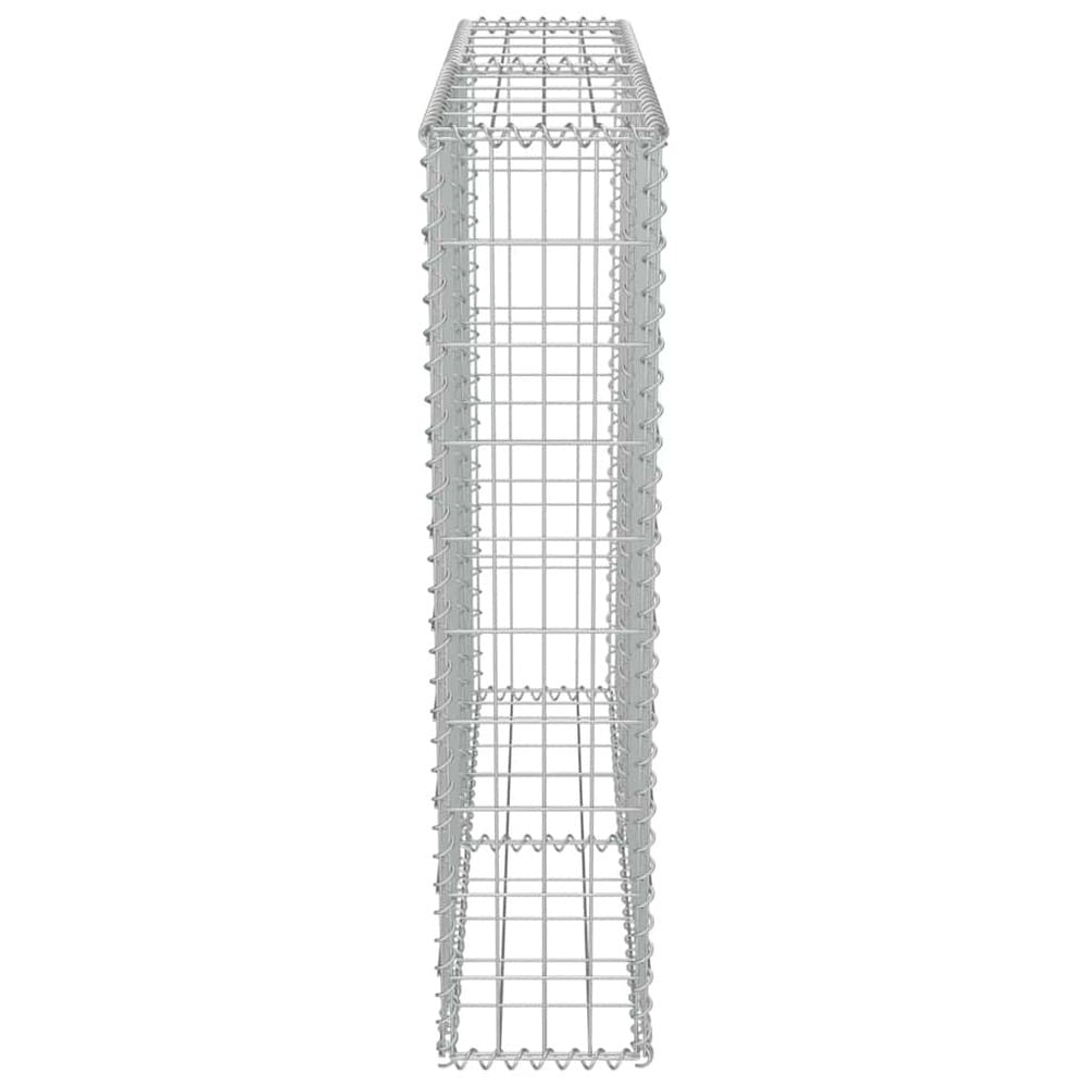 Gabionmur 100×20×100 cm / gabionkorg i galvaniserat stål för sten och grus – Silver