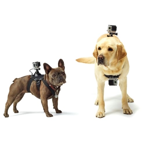 Hund Bröstbälte till GoPro HERO