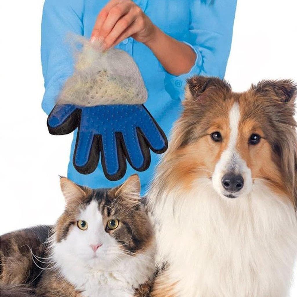 Borsthandske / Hundkam / Kattkam /  hårborste för hund och katt