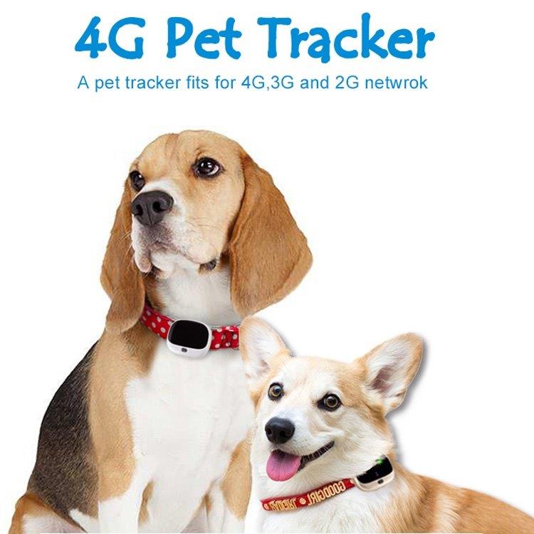GPS + LBS + WiFi Tracker för husdjur