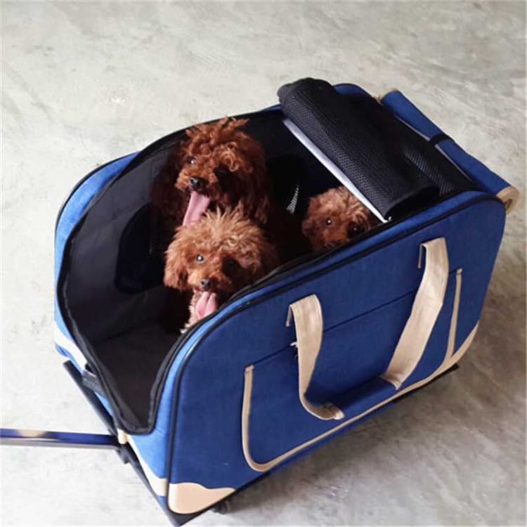 Dragväska för husdjur - Transportväska / Hundväska