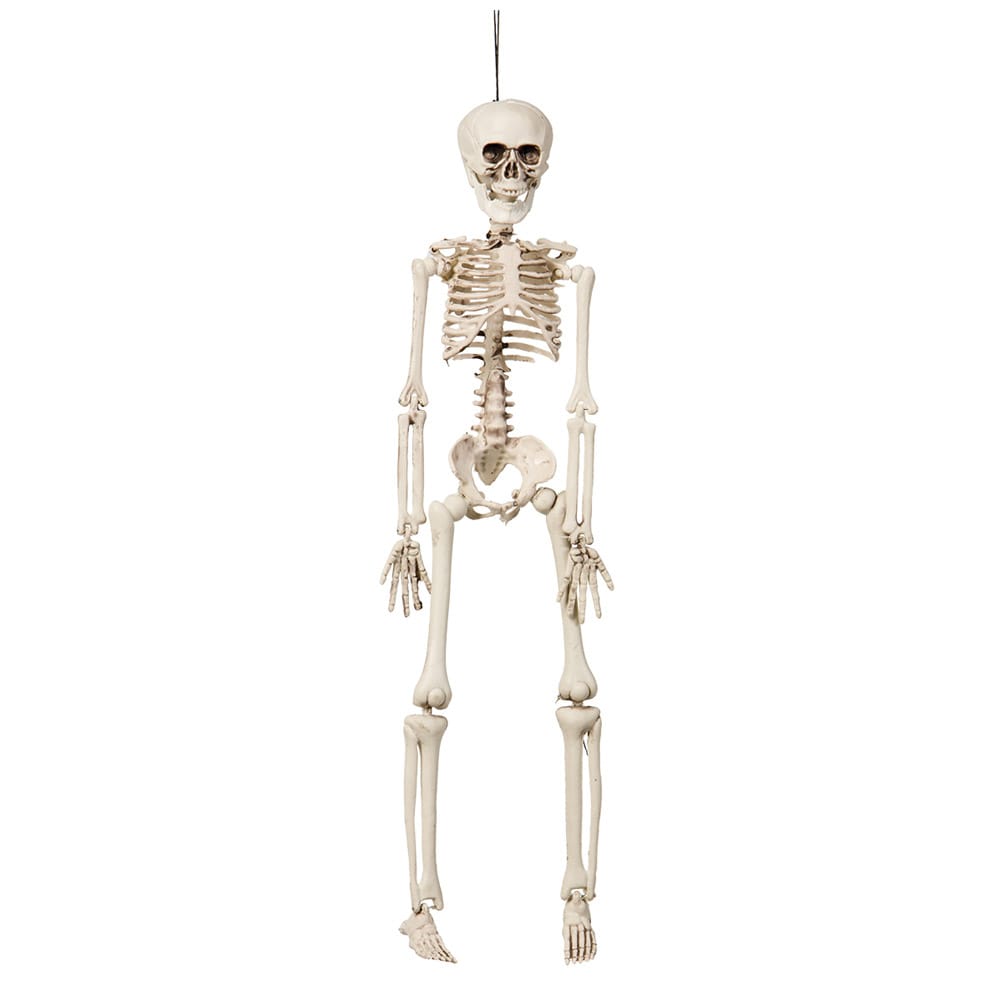 Hängande Skelett 42cm
