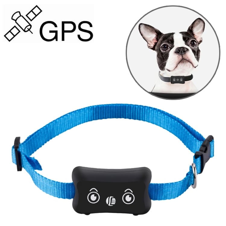 Vattentätt hundhalsband med GPS