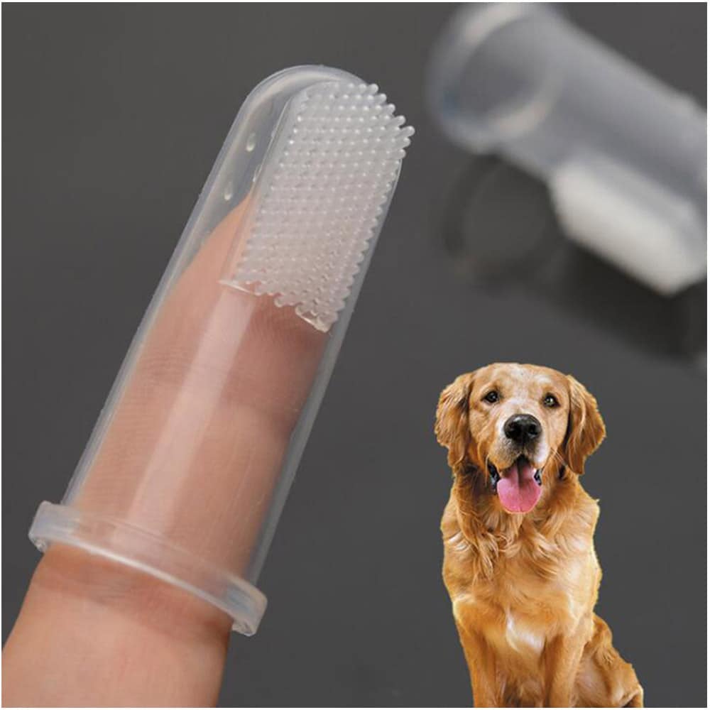 Fingertandborste för husdjur