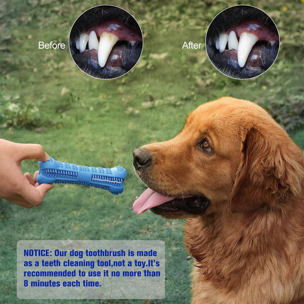Hundtandborste i silikon 10,5x8cm