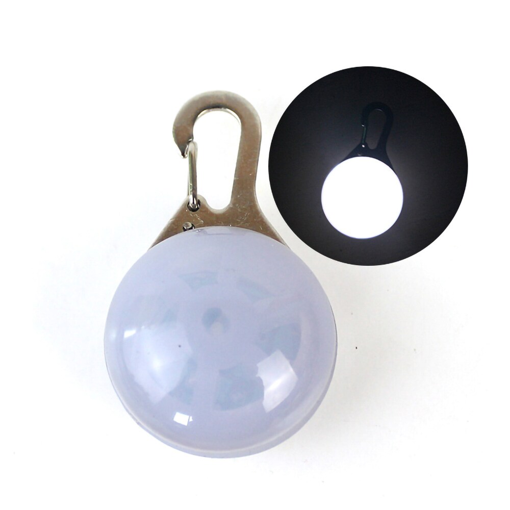 LED-lampa för Husdjur - Hundlampa med karbinhake