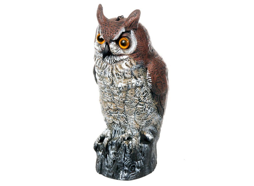 Fågelskrämma Uggla