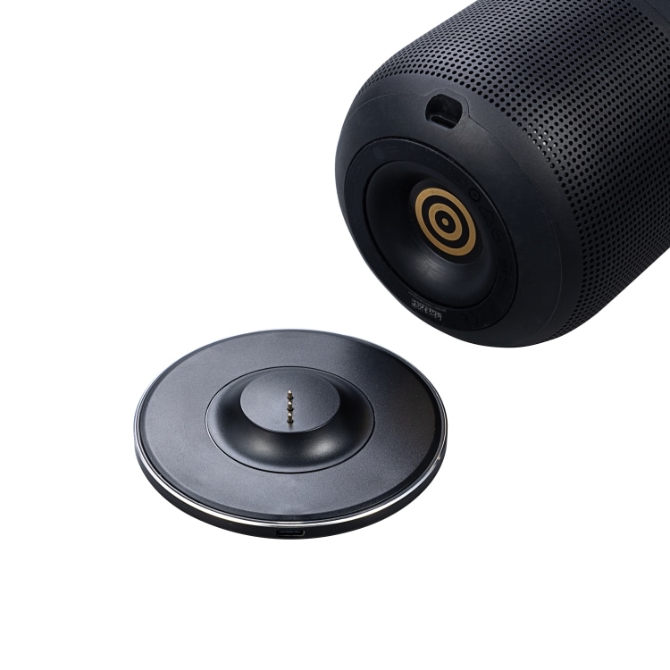 Laddställ till Bose Portable Smart Speaker