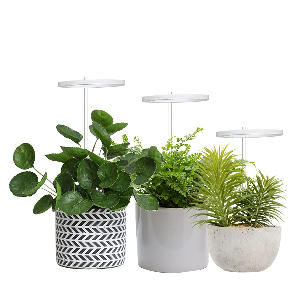 LED växtbelysning / växtlampa med LED-ring / odlingslampa för inomhusväxter / plantlampa 5V