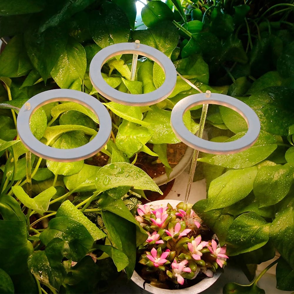 LED växtbelysning / växtlampa med LED-ring / odlingslampa för inomhusväxter / plantlampa 5V