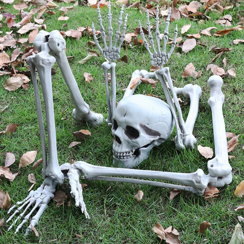 Skelett till Halloween (5 delar)