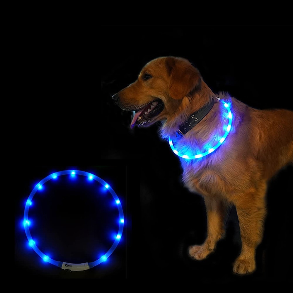 LED-halsband till hund - blå