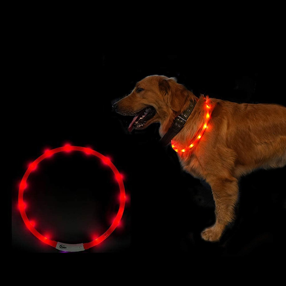 LED-halsband till hund - röd