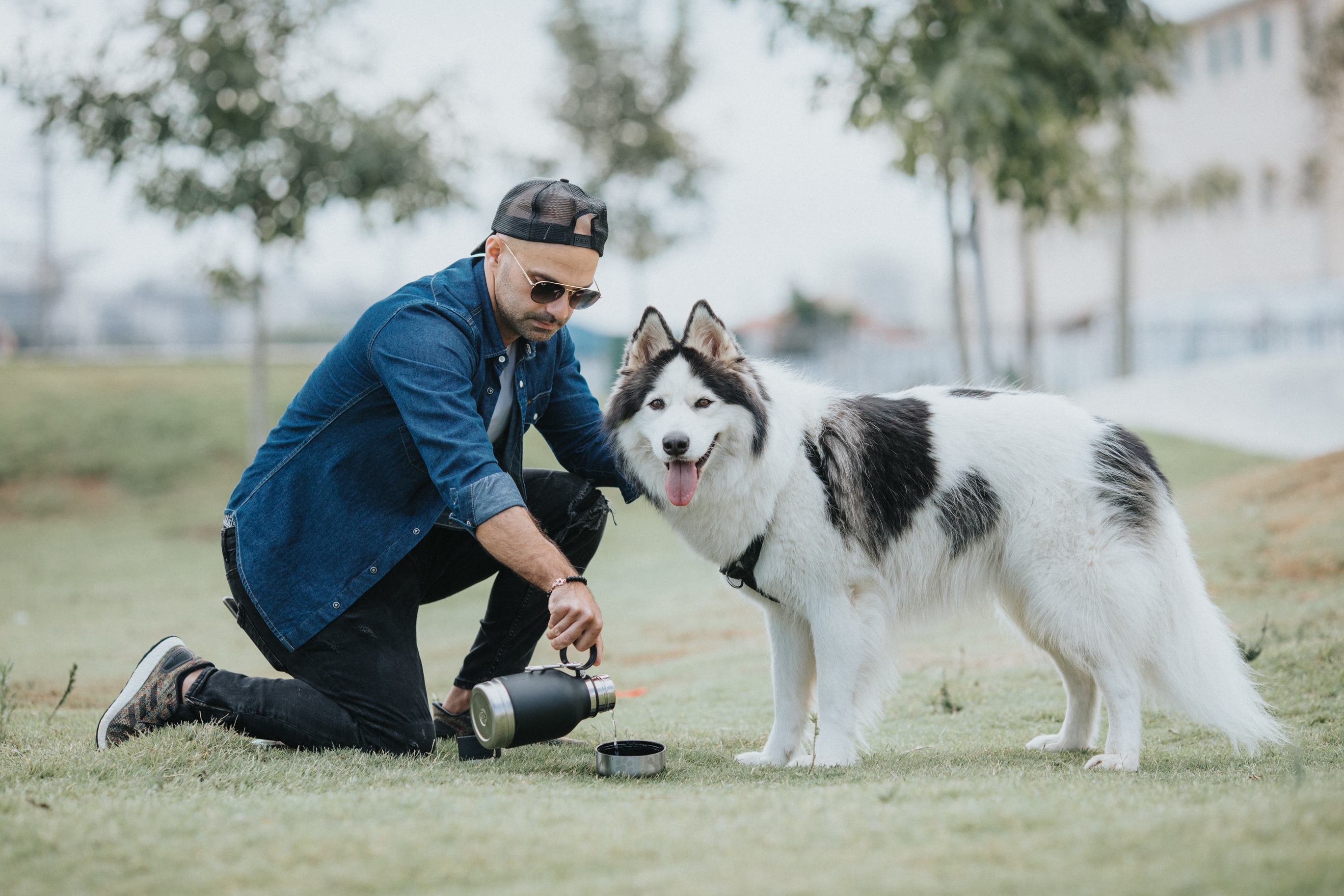 Asobu Dog Bowl – Edelstahlflaska med avtagbar hundskål, 1 liter