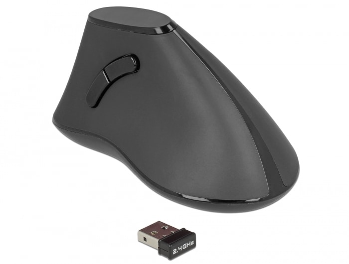 Delock ergonomisk vertikal optisk 5-knappsmus 2,4 GHz trådlös – tyst