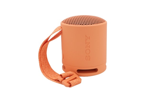 Sony SRS-XB100 bärbar Bluetooth-högtalare