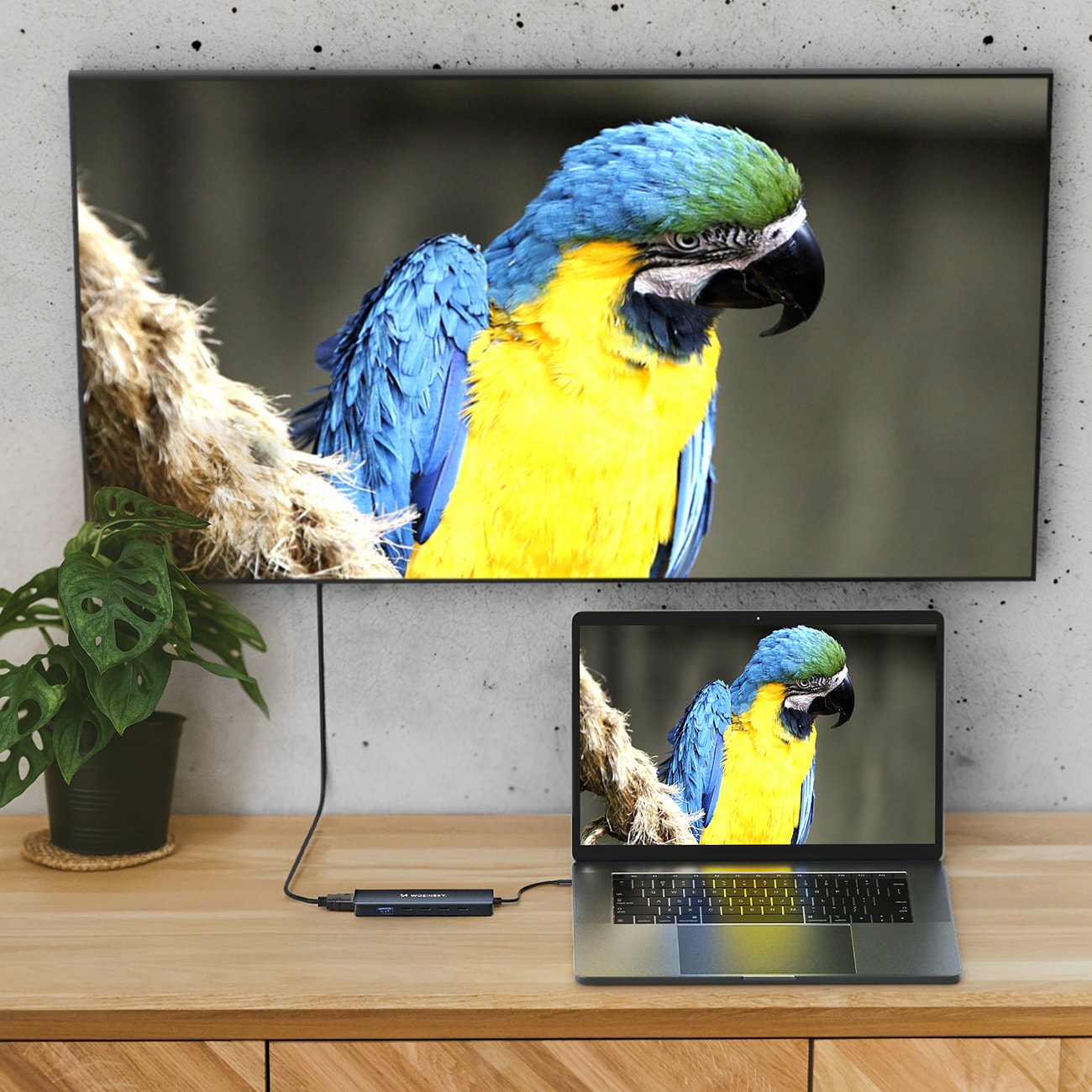 USB-C 6 i 1-hubb Wozinsky WHBC10Y4S Multifunktionell, aluminium, med 25 cm kabel - Grå