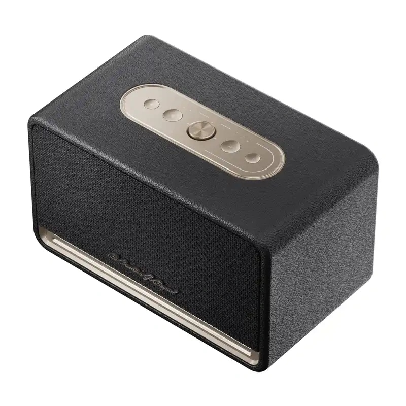 QCY SP300 trådlös högtalare (svart)
