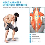 Gym Head Harness - nacktränare